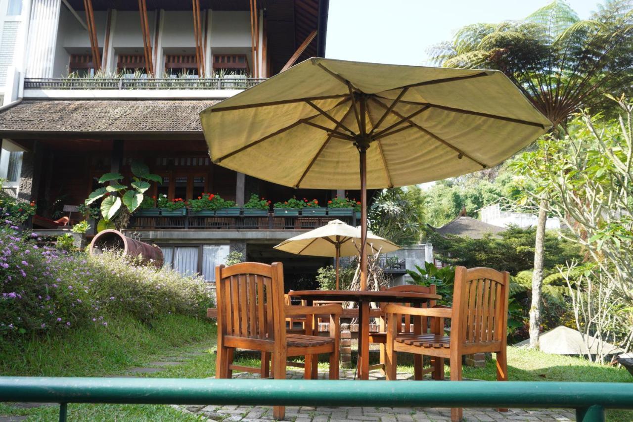 Rumah Stroberi Organic Farm & Family Lodge Лембанг Екстер'єр фото