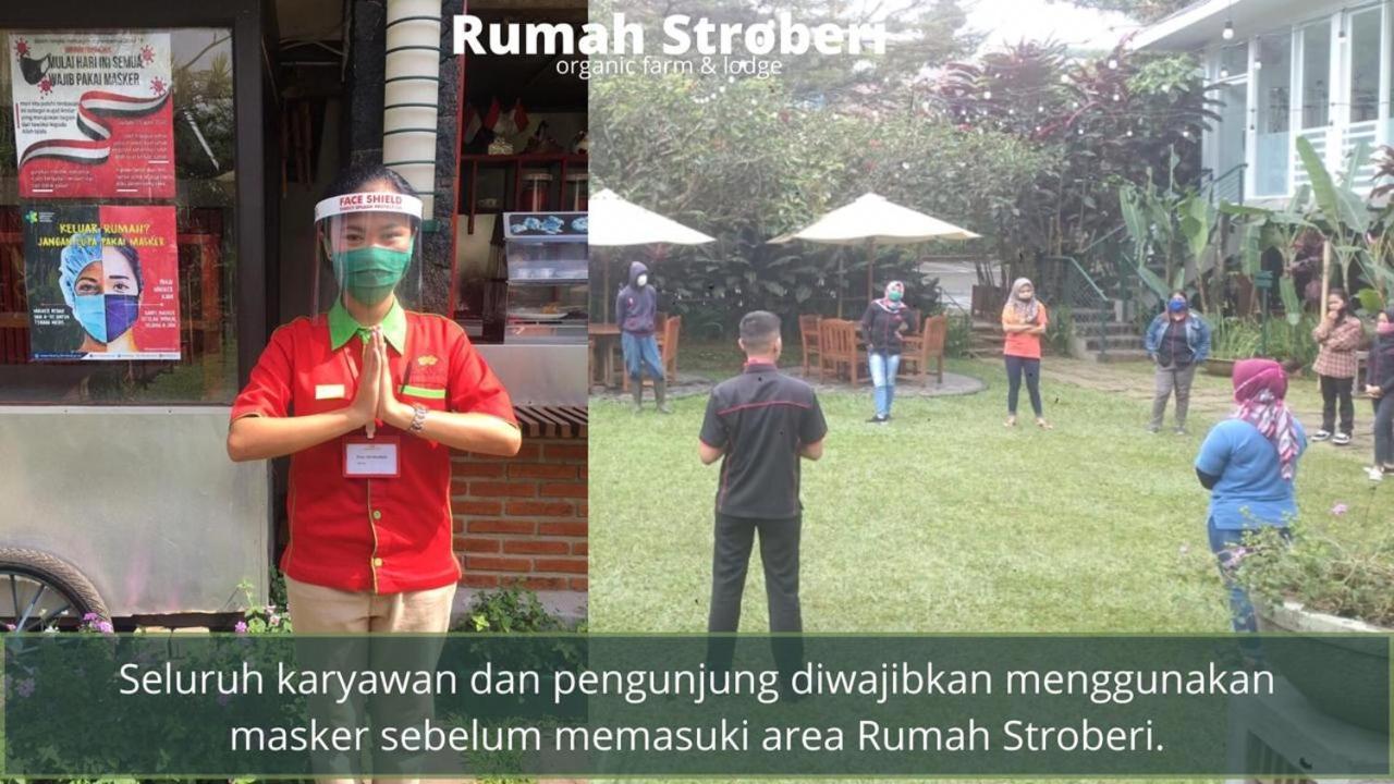 Rumah Stroberi Organic Farm & Family Lodge Лембанг Екстер'єр фото
