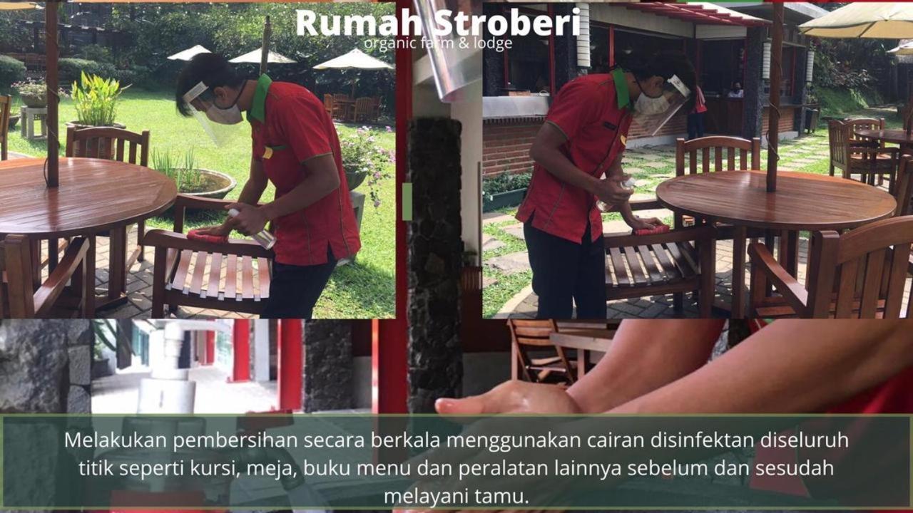 Rumah Stroberi Organic Farm & Family Lodge Лембанг Екстер'єр фото